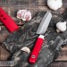 Нож Кухонный Овощной FUJI CUTLERY Special series , длина лезвия 100 мм, сталь Sus420J2, рукоять пластик в ножнах (красный), заточка #1000 
